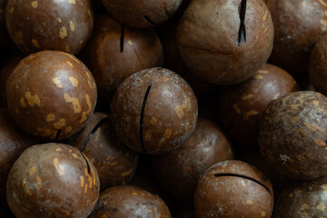 unpeeled macadamia nut textured background