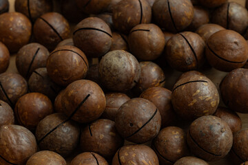 unpeeled macadamia nut textured background