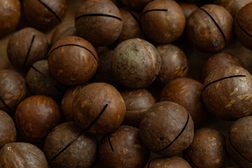 unpeeled macadamia nut textured background