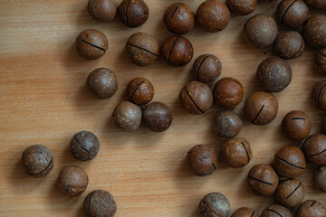 unpeeled macadamia nut textured background