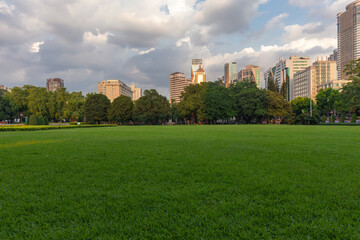 Lawn with city building landscape