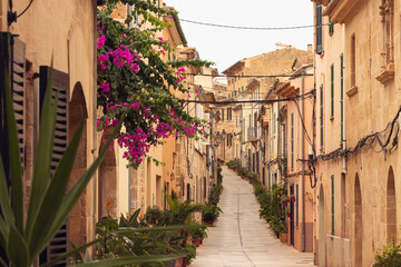Malerische Gasse mit Bougainvillea und Blumentöpfen in der charmanten Altstadt von Alcudia, Mallorca, Balearen, Spanien