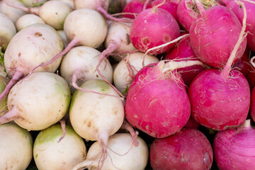 Freshly harvested radishes in a colorful display at a local market in the early morning