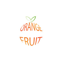 orange fruit logo  icon  vector  illustration