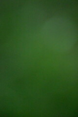 Blurry Green Background