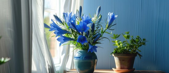 Gentian Flowers In The Room