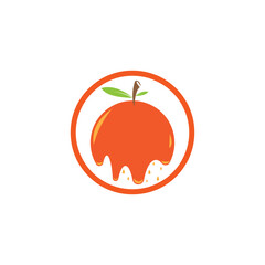 orange fruit logo  icon  vector  illustration