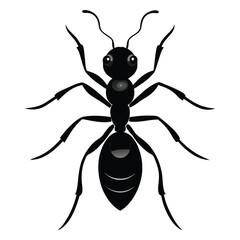 Ant silhouette vector illustration
