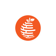 orange fruit logo  icon  vector  illustration
