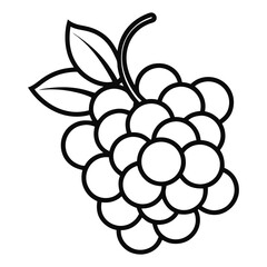 Grapes Vector Illustration

