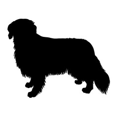 ゴールデンレトリバーのシルエット