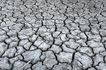 Close-up: deep splitting and cracking of the soil as a result of the decrease in water,