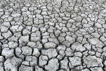 Close-up: deep splitting and cracking of the soil as a result of the decrease in water,