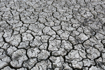 decrease in water levels and large-scale cracking of the soil as a result of drought, soil cracking as a result of drought,