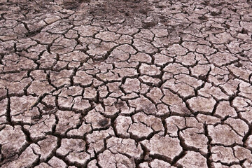 decrease in water levels and large-scale cracking of the soil as a result of drought, soil cracking as a result of drought