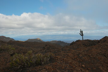 Exploring the stunning volcanic landscapes of the Galapagos Islands during a scenic hike