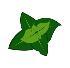 green mint leaves 3 pairs