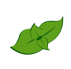 green mint leaves 2 pairs on transparent background