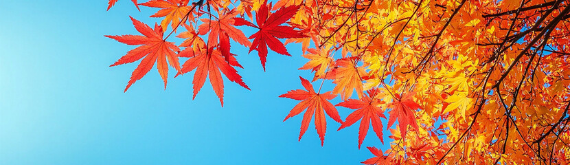 秋晴れと紅葉の風景