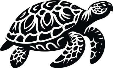 turtle illustration
