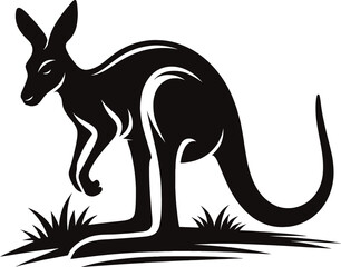 kangaroo vector illustration