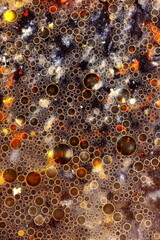 Micro cosmos made of oil drops.