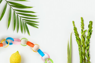 Jewish holiday Sukkot traditional symbols and decorations isolated on white background. Top view,...