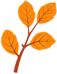 Obraz premium autumn leaf