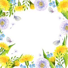 Obraz premium watercolor square frame with summer field flowers, hand draw illustration of yellow dandelions and blow balls, leaves, herbs, butterfly on white background