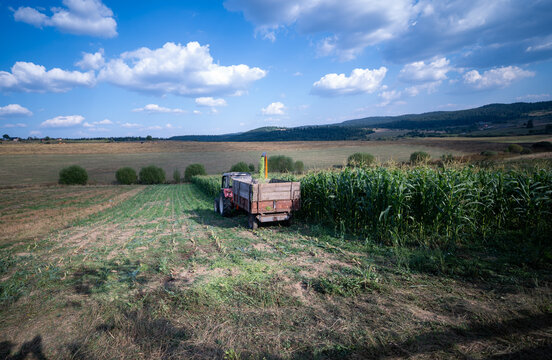 Combine harvester driving through a field harvesting corn, Bosnia and Herzegovina