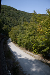 train ride in the mountains