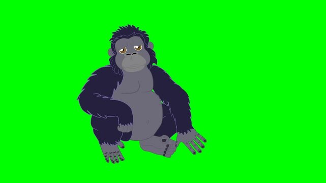 2d animated character of  Gorilla or monkey or chimpanzee character scratching his body and shaking his ears while looking sad, waiting  . in green screen background chroma key.