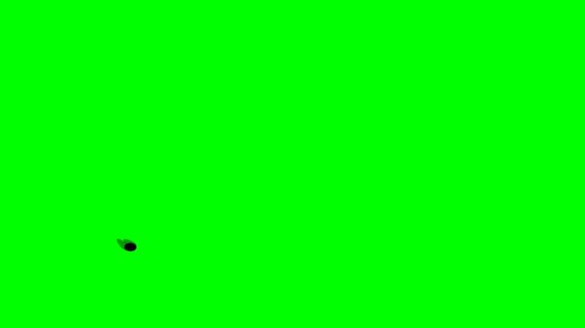 2d animated character of  flying up and down and shaking insects, flies, mosquitoes, butterflies, black bees, winged beetles, gnats, bats  . in green screen background chroma key.