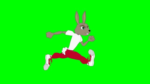 2d animated character of  story of rabbit and tortoise speed race where rabbit hits a tree and falls to ground and tortoise wins race  . in green screen background chroma key.