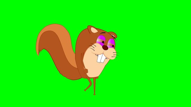 2d animated character of  gray squirrel goes to brown squirrel and wakes him up by shouting, they fight and then they both leave place sadly  . in green screen background chroma key.