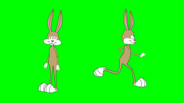 2d animated character of  Two playful brown rabbit characters standing back to back and starting to run, blink, run away, try, funny  . in green screen background chroma key.