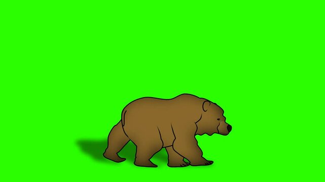 2d animated character of  A brown grizzly bear moves, hunts an animal with its claws and starts eating it, cleaning the offspring, attack. in green screen background chroma key.