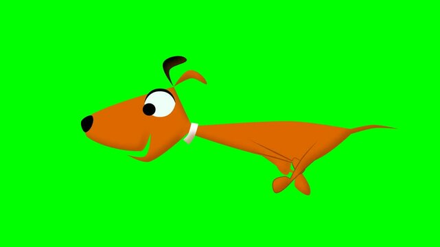 2d animated character of  Running and escaping two characters, fox, dog, cat, mouse, gray rabbit, from orange clutch, Follow each other. in green screen background chroma key.