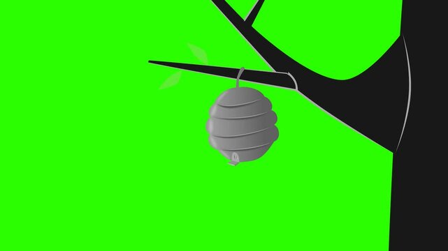 2d animated character of Zooming on gray yellow bee hive that hanging from tree branch in forest cracks bees come out run away queen bee . in green screen background chroma key.