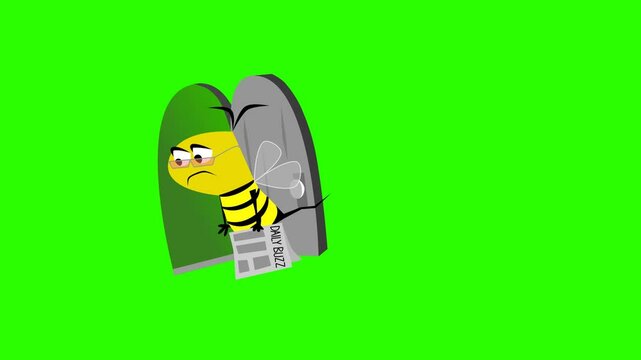2d animated character of walking flying sad and depressed yellow queen bee with newspaper glasses entering her house, daily buzz . in green screen background chroma key.