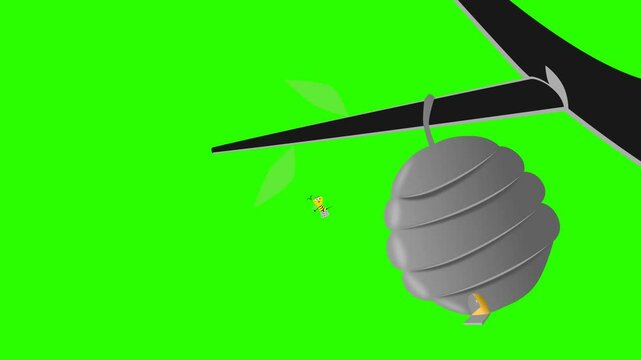 2d animated character of Zooming on gray yellow bee hive that hanging from tree branch in forest cracks bees come out run away, queen bee . in green screen background chroma key.
