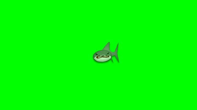 2d animated character of  Big scary and hungry whale or shark swimming underwater in sea or ocean front view. in green screen background chroma key.