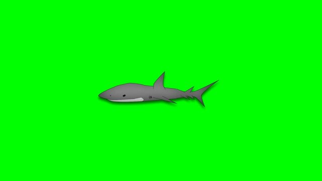 2d animated character of  A big, scary and hungry whale or shark swimming under the sea or ocean water, entering from right to left. in green screen background chroma key.