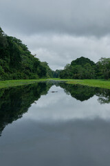 Cayman spotting in a natural reserve on Amazon river, Peru
