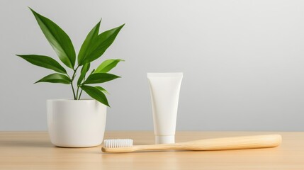 Minimalist Bathroom Setup with Green Plant and Products