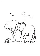 elephant in the grass