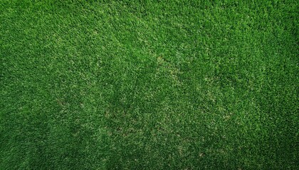 Obraz premium Green grass texture. Golf course view from above. The background is a lush football lawn. Artificial synthetic lawn for sports. green grass texture