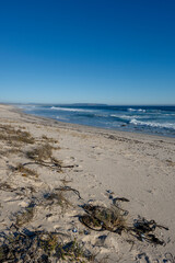 West Coast shoreline near Lamberts Bay with views south towards Elands Bay or Elandsbaai. Western Cape, South Africa.