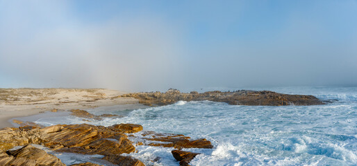 Sea fog (mist) along the West Coast shoreline near Lamberts Bay, Western Cape, South Africa. Cape cormorant or Cape shag (Phalacrocorax capensis) birds perched on rocks.