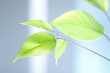 green leaves on blue background